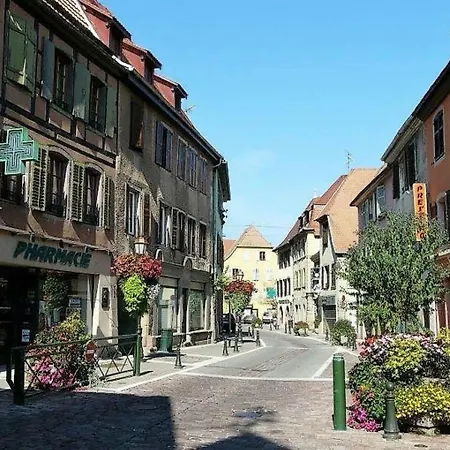 Cosy Apt, Clim, Route Des Vins Apartamento